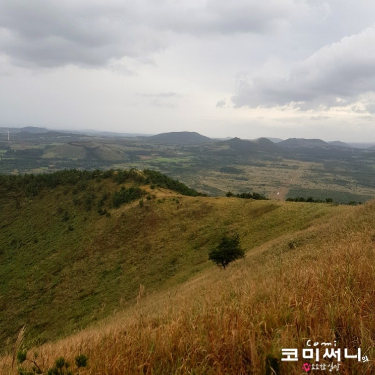 [제주 오름 추천] 오름 명소 다랑쉬오름(월랑동) 오름의 여왕 다랑쉬 오름 소요시간 : 제주 여행 2일차 코스