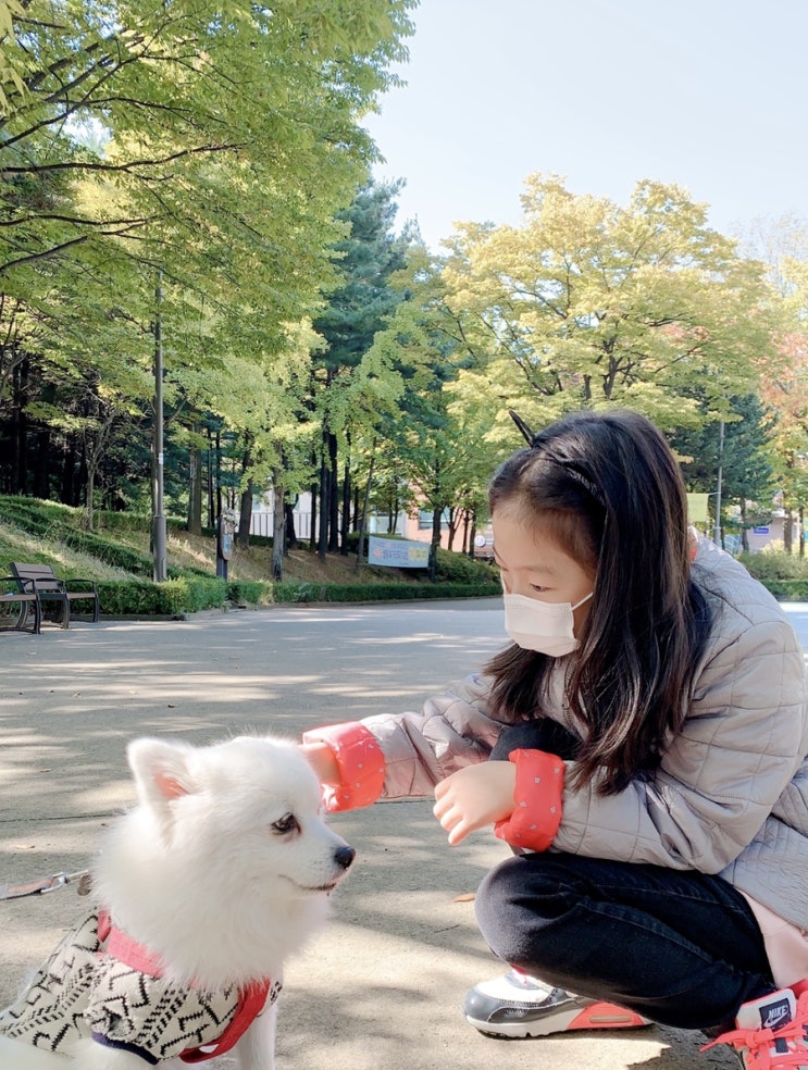  저번 주 보통 일상 일기