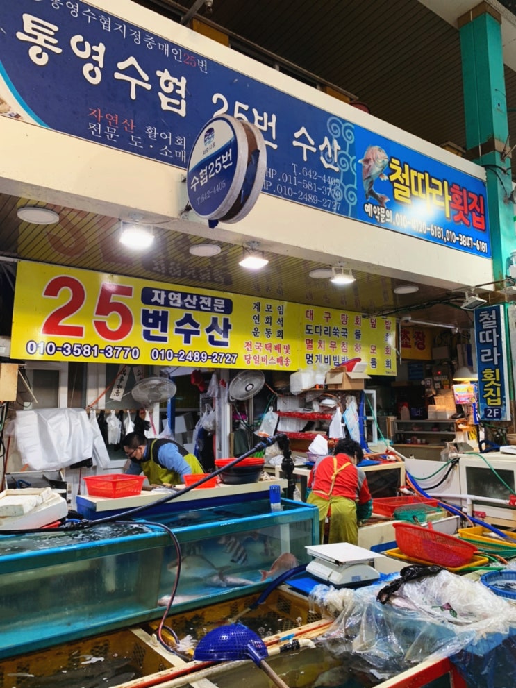  [211031 통영] 서호시장 - 아침부터 회 뜨고 반찬 사고 딱새우 구입하기!