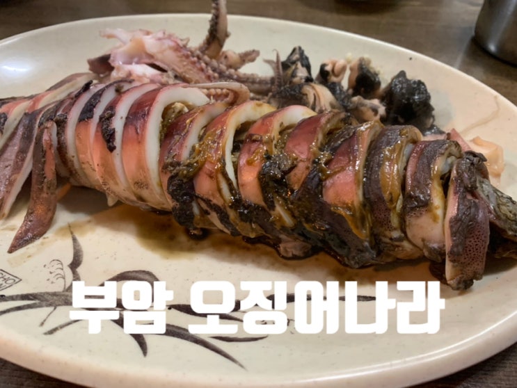  (부암 맛집)오징어회,오징어통찜이 맛있는 서면 롯대백화점 앞 "부암 오징어나라"