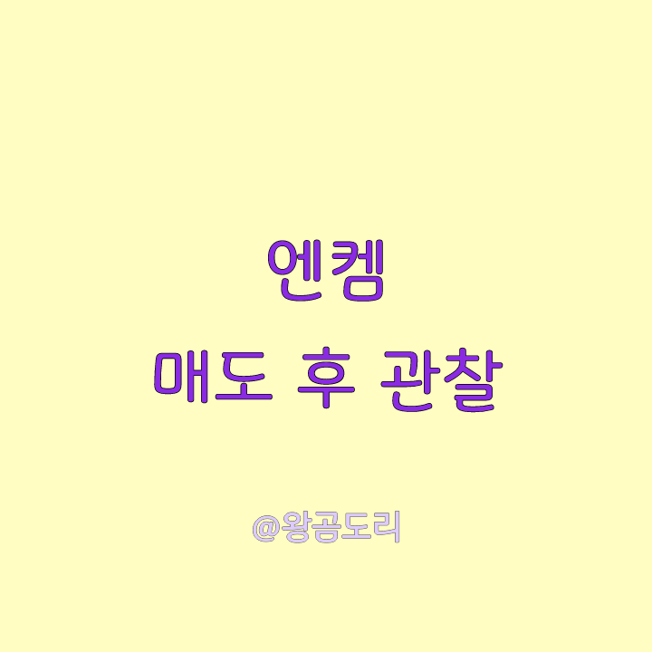  엔켐 상장 후 매도 조금 아쉬운 마음에 글을 남겨요...
