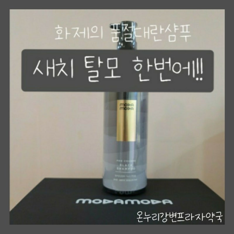 모다모다 프로체인지 블랙샴푸 feat 가격후기안정성