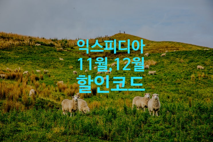 익스피디아 11월, 12월 할인코드:: 국내외 호텔 최대 5만원까지 할인 익스피디아 11월, 12월 할인코드:: 국내외 호텔 최대 5만원까지 할인