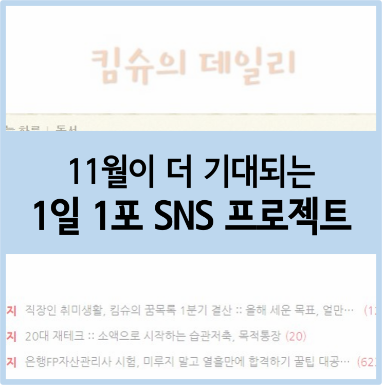  [1일1포 프로젝트] 11월, 1일1포 30일 성공하기 도전