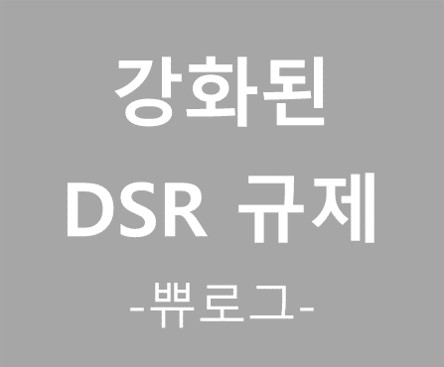  [참고.29] 강화된 DSR 규제 읽어보고 고찰