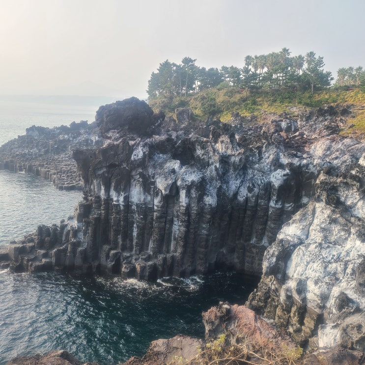  제주도 가볼 만한 곳