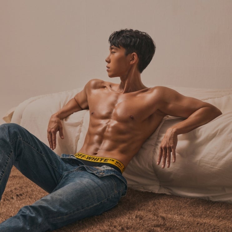  30대 남자 일반인 직장인 바디프로필 후기 부작용 유지어터 운동 식단