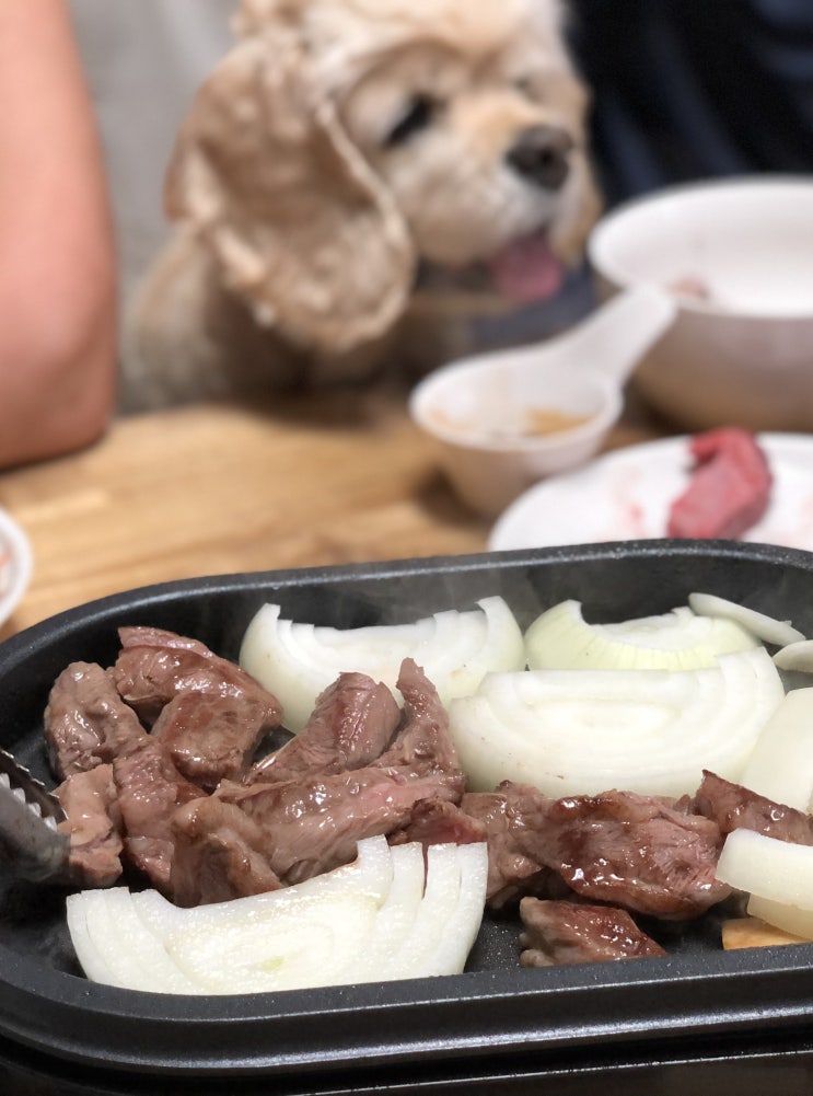  카카오톡선물하기 푸드랩플러스 갈비살 부채살