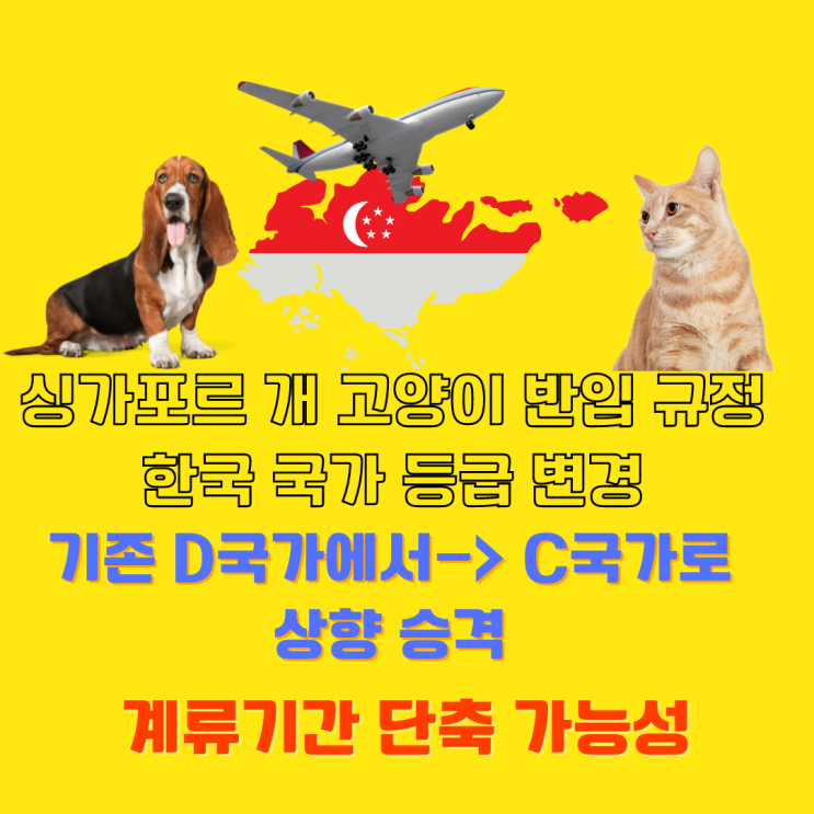  반려동물  강아지 고양이 반려견 검역 규정 소식 Sin