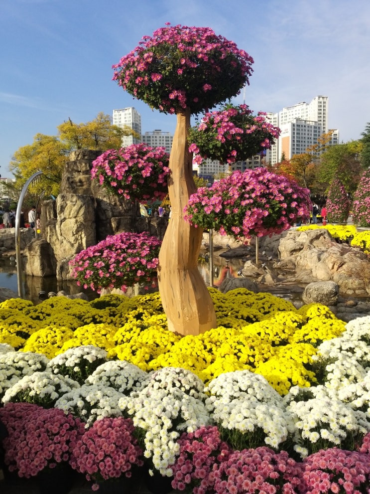  익산 국화축체 중앙 체육공원