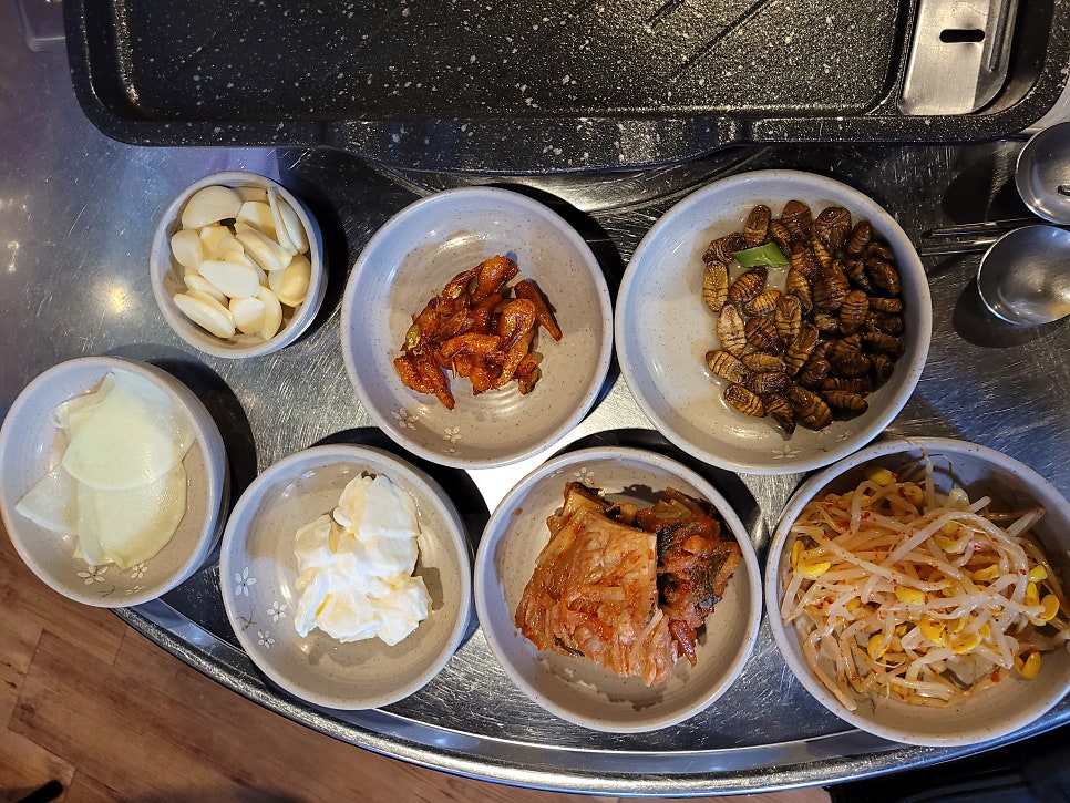 돈야 사진 5