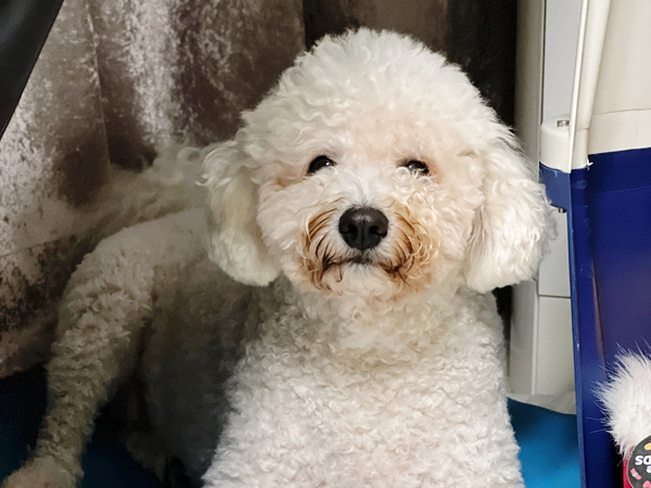  11월 1일 오늘 일기, 정말 무난하고 무난했던 하루