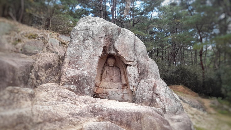  1박 2일에 소개되었던 경주 남산의 불곡마애여래좌상