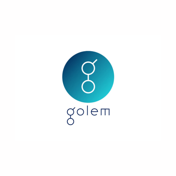  골렘(GLM) 11월 프로젝트 예고
