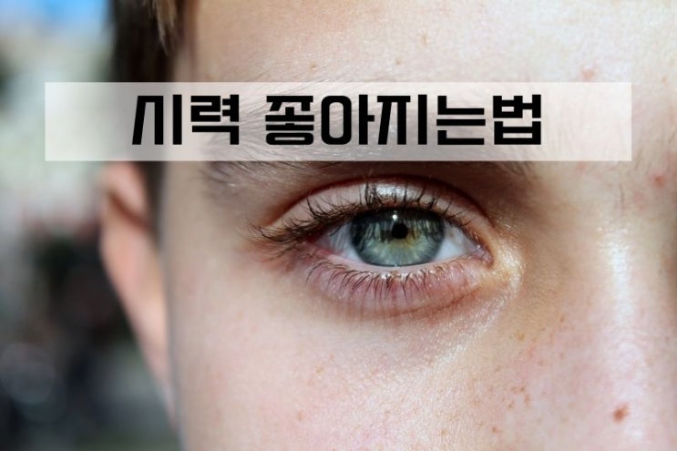  눈시력 좋아지는법 (시력개선 눈운동, 오메가3)