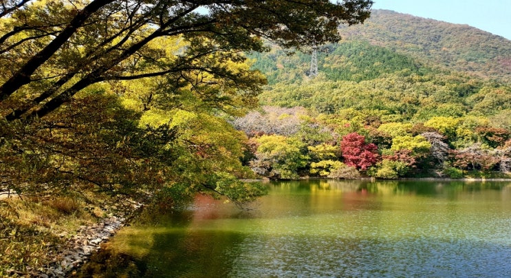  진해내수면환경생태공원 부산근교 단풍명소 데이트코스