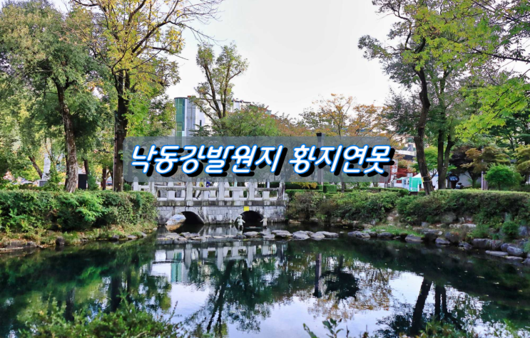 강원도 태백시 낙동강발원지 황지연못 황부자이야기 강원도 태백시 낙동강발원지 황지연못 황부자이야기