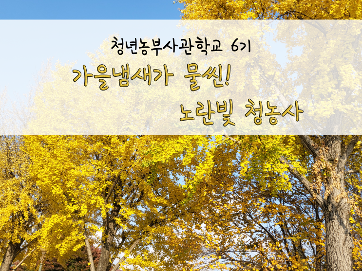  가을이 온 청년농부사관학교_211101