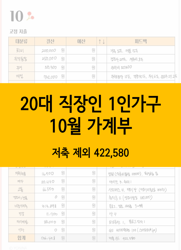  20대 직장인 1인가구 가계부, 10월 가계부 :: 외식 횟수를 줄여야 할 때