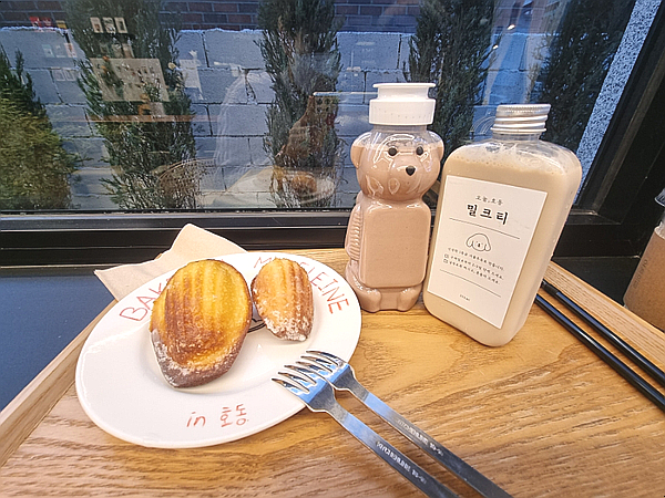  대전카페, 오늘호동 대전카페추천 마들렌, 곰돌이 보틀음료 맛집