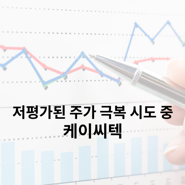  케이씨텍 저평가된 주가 극복 시도 중