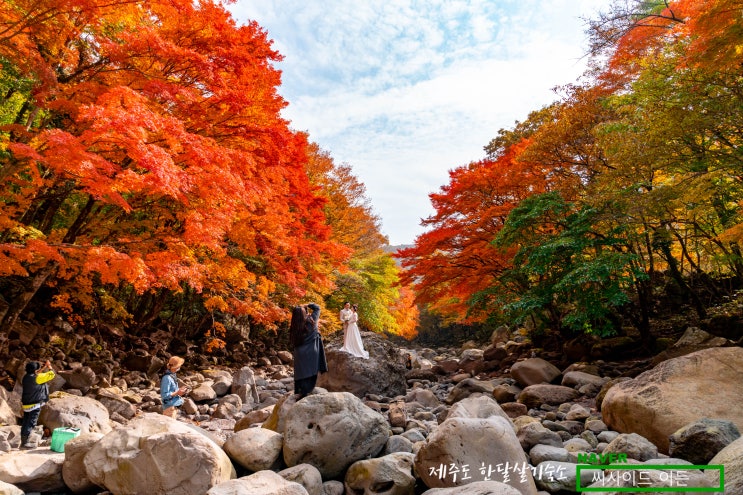  천아계곡 단풍절정(2021.11.1)[제주도 한달살기 숙소 SE]