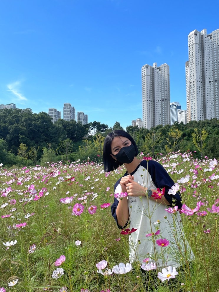  추석 연휴 끝 : 광교호수, 우리집 주정뱅이, 현승 화이팅