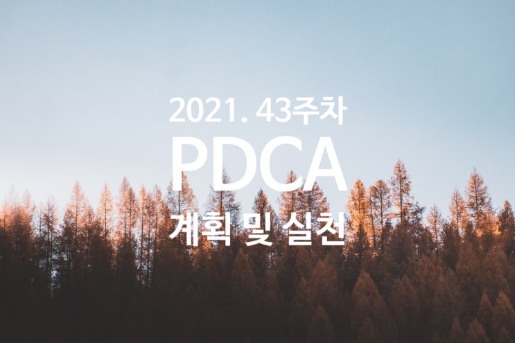  2021년 계획과 실천 43주차 점검 [휴식 Feat.제주여행]
