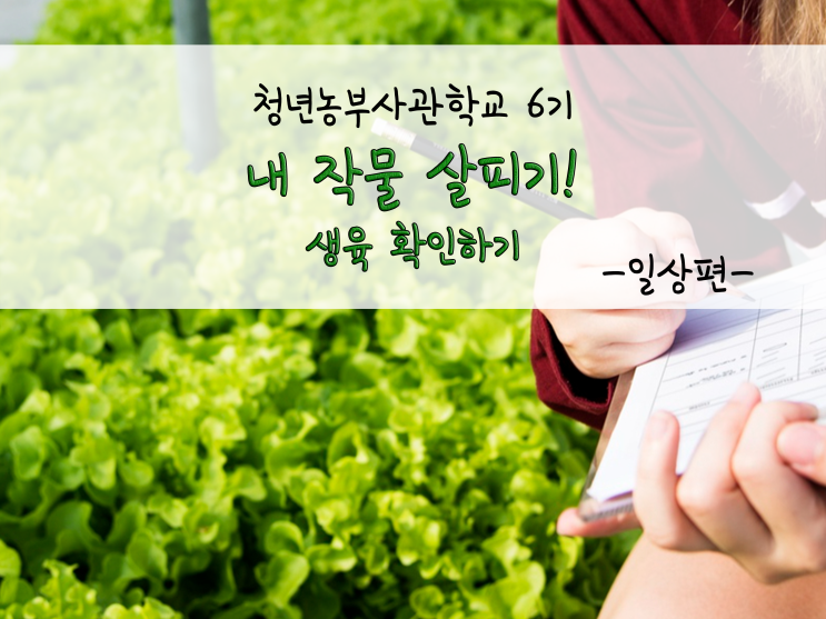  내 작물 살피기!(생육 확인하기)_211101