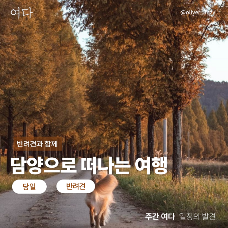  [담양여행] 반려견과 담양으로 떠나는 여행