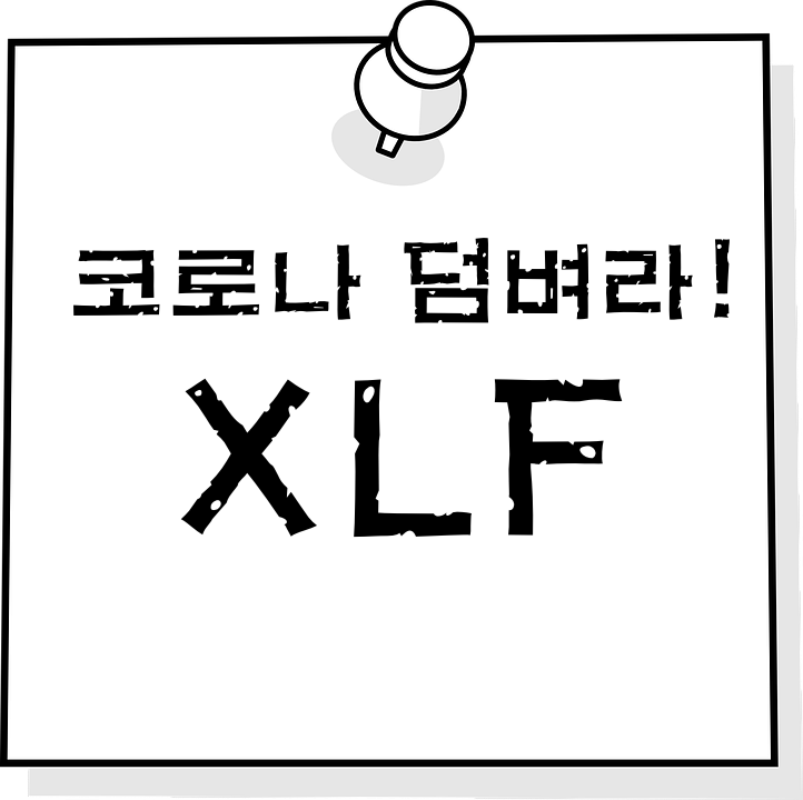  [미국 ETF] 코로나와 맞서 싸운 금융섹터 " XLF "