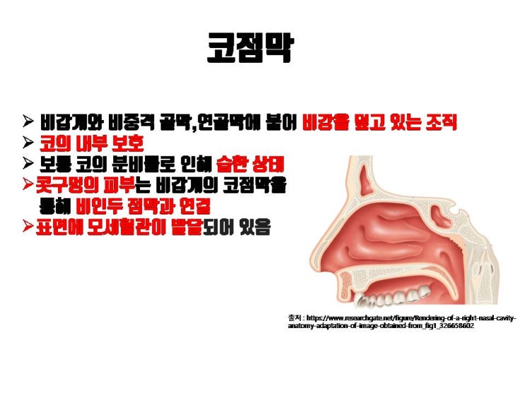  코수술 후 출혈 걱정으로 코성형 주저하신다면 마음 놓고 코수술 받으셔도 돼요!!!