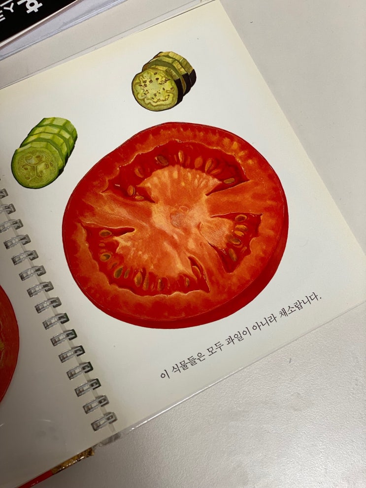  아무말 / 토마토는 과일인가 채소인가?
