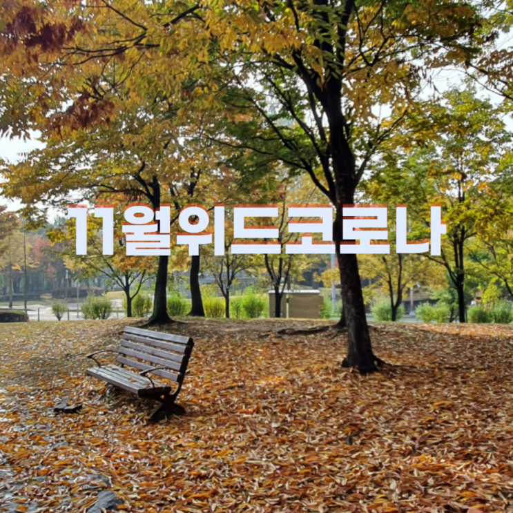 11월 위드코로나 백신패스 필요시설은 헬스장,술집, 병원등이다