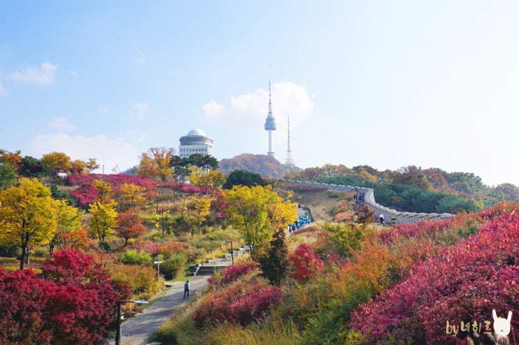 남산 서울 단풍 명소 지금이 절정! 산책 코스 추천