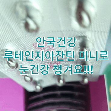 내돈내산 안국 루테인지아잔틴 미니 솔직후기