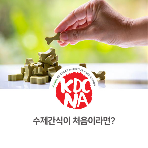  강아지 수제간식을 처음먹일 때 주의점 [한국반려동물영양협회/반려밥상/강아지간식/애견수제간식창업/펫푸드자격증/펫푸드수업/전주/군산/익산/천안/공주_902]