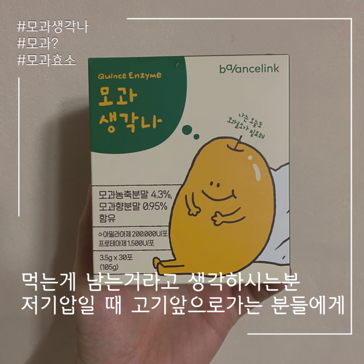  모과생각나?모과 ? 모과효소 소화효소 다이어트 효소 효소추천