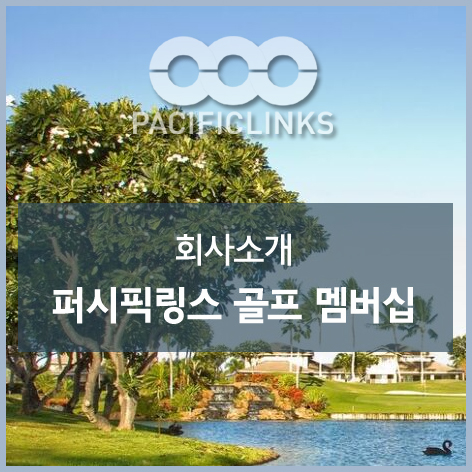  퍼시픽링스가 뭔가요? 회사소개