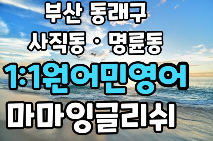  부산 동래구【사직동·명륜동】원어민일대일영어/화상영어/비대면영어/영어회화【온천동·수안동·북산동】