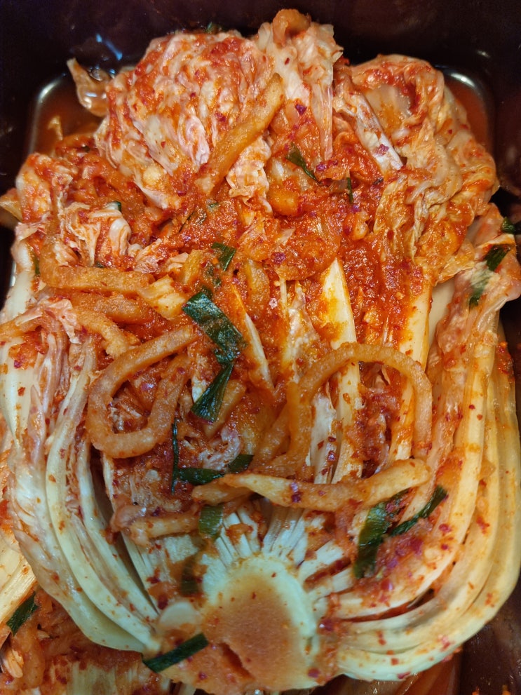  온국민신선몰 배추김치레시피 수라김치 맛 후기