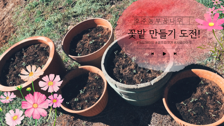  [호주농부꿈나무] 꽃밭 만들기 도전! #이케아선반 #가히밤