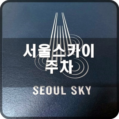  11. 서울스카이 전망대 주차가 궁금합니다.