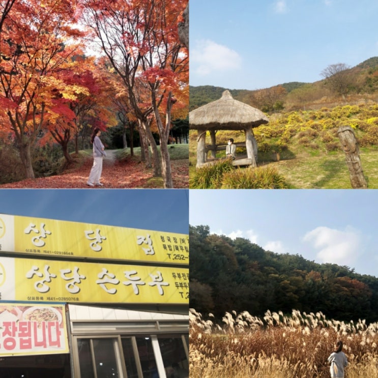  엄마랑 청주 상당산성 단풍데이트《상당집》에서 청국장까지,,,c