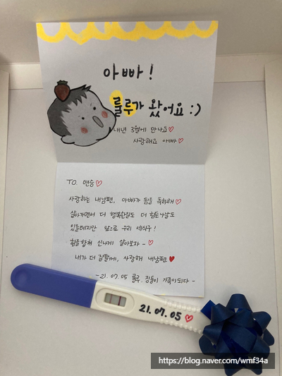  [ 태교 일기 1편 ] 와이프가 임밍아웃을 했다..