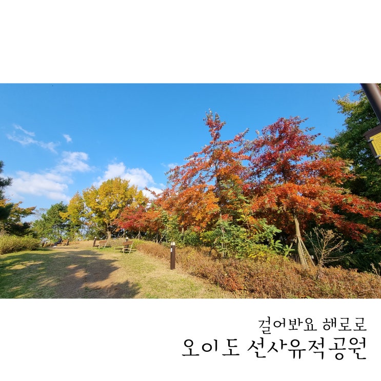  시흥시 해로로 토로로 걷기 이벤트 / 오이도 선사유적공원 스탬프투어