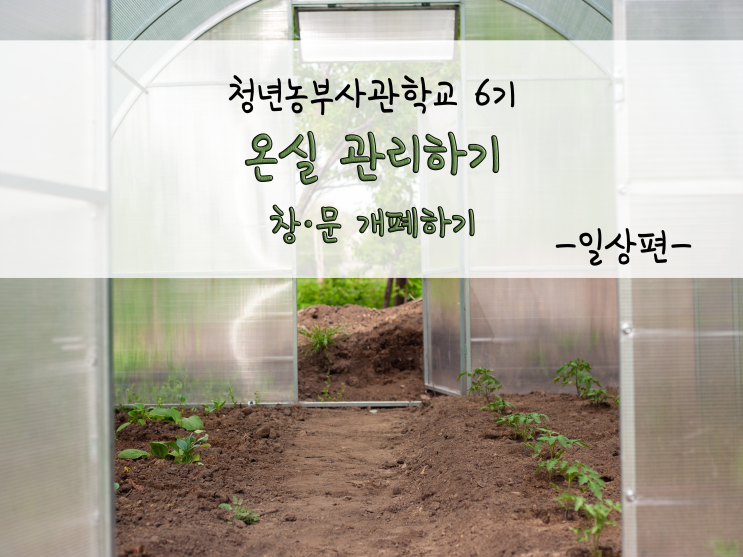  온실 관리하기(창·문 개폐하기)_211102