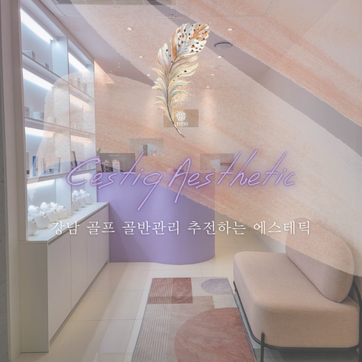  강남에스테틱 | 선정릉역 전신관리 골프케어 세스티끄 | 효과좋은 골반관리 솔직후기