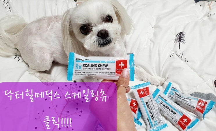  닥터힐메딕스 애견가수분해껌 스케일링츄 동물병원전용껌