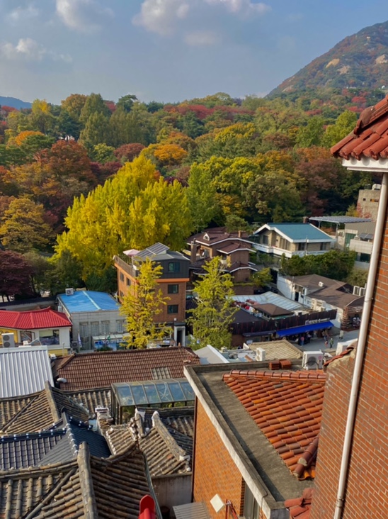  [일상] 내가 가장 좋아하는 가을의 북촌
